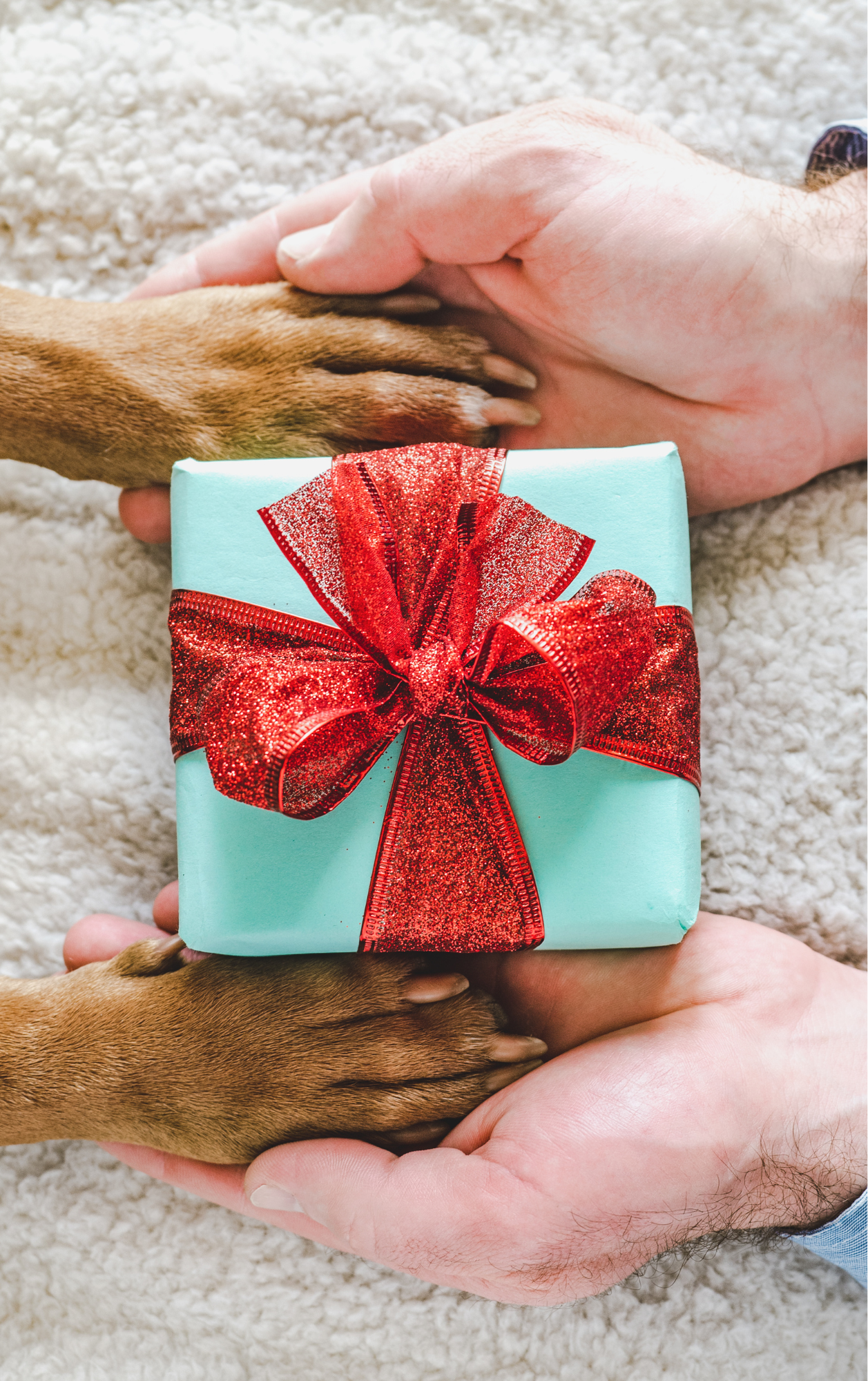 Cadeaubon Honderonsje | Honderonsje | Digitale cadeaubon