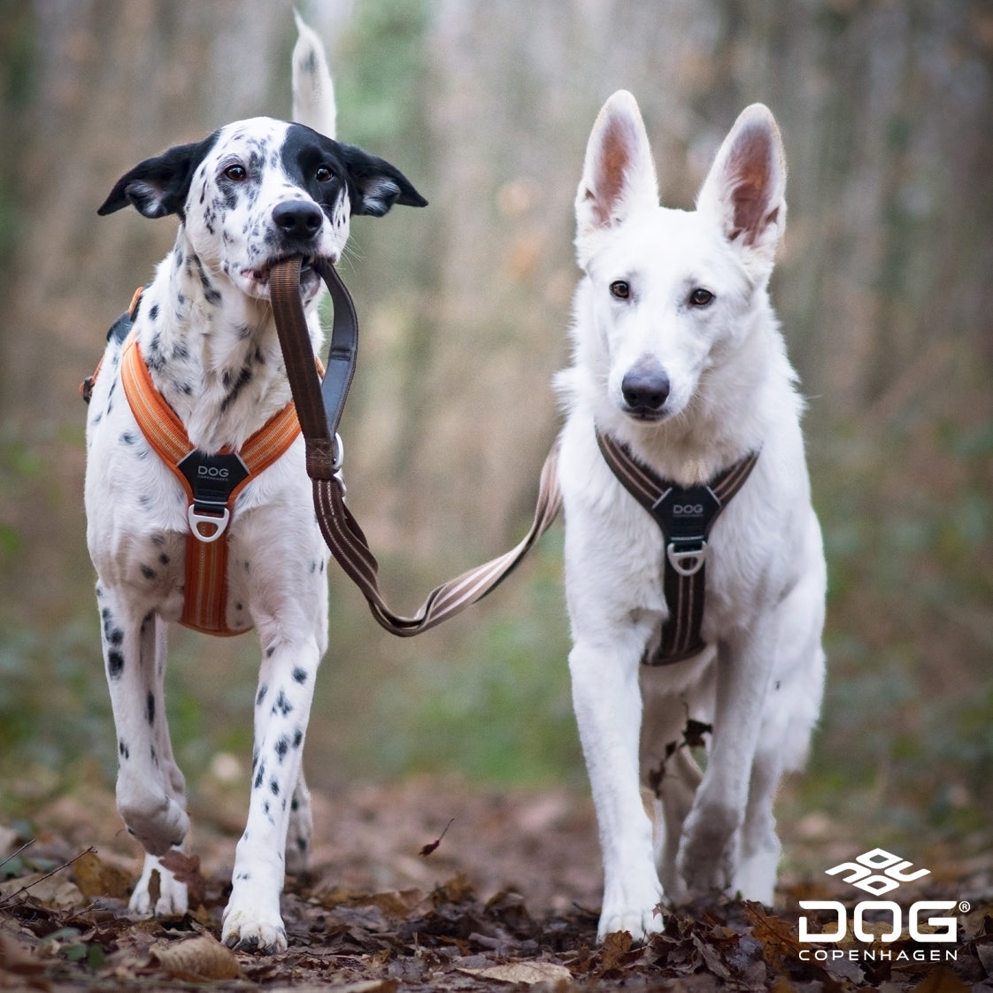 Samen op stap
