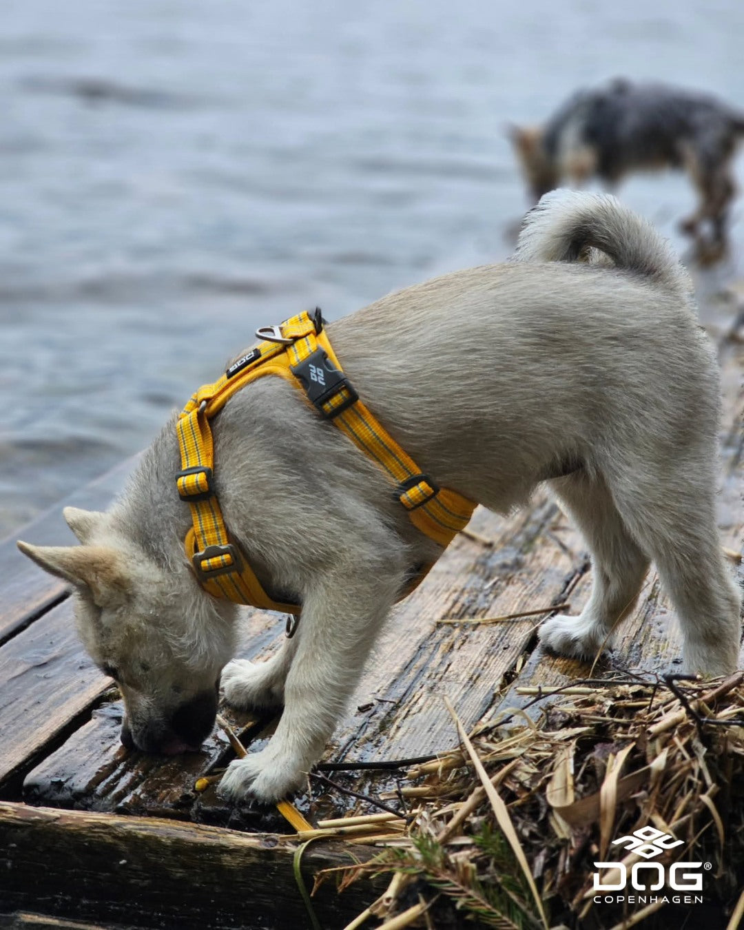 Air Walk Harness | Dog Copenhagen | Harnas