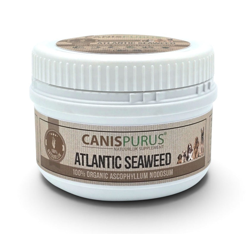 Atlantic Seaweed | Canis Purus | Supplement & Topping