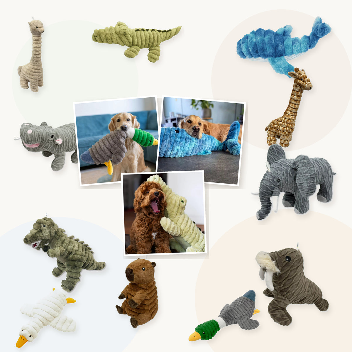 Hondenknuffel | Quapas | Pluche Speelgoed