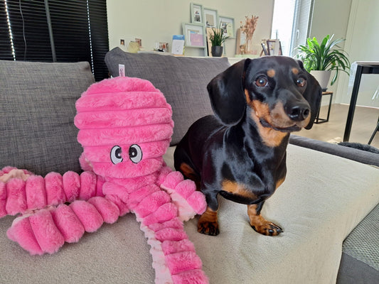 Giant Octopus | Hondenknuffel | Pluche Speelgoed