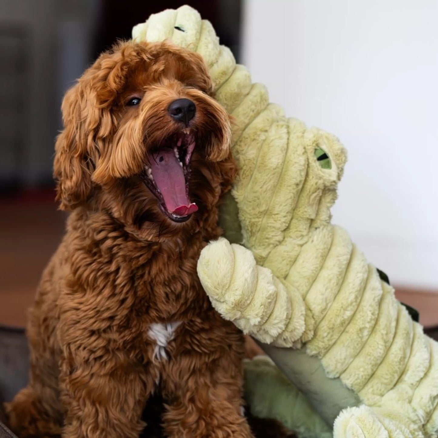 Hondenknuffel | Pluche Speelgoed | Eend / Alligator / Walvis / Gans / Giraf / Alpaca