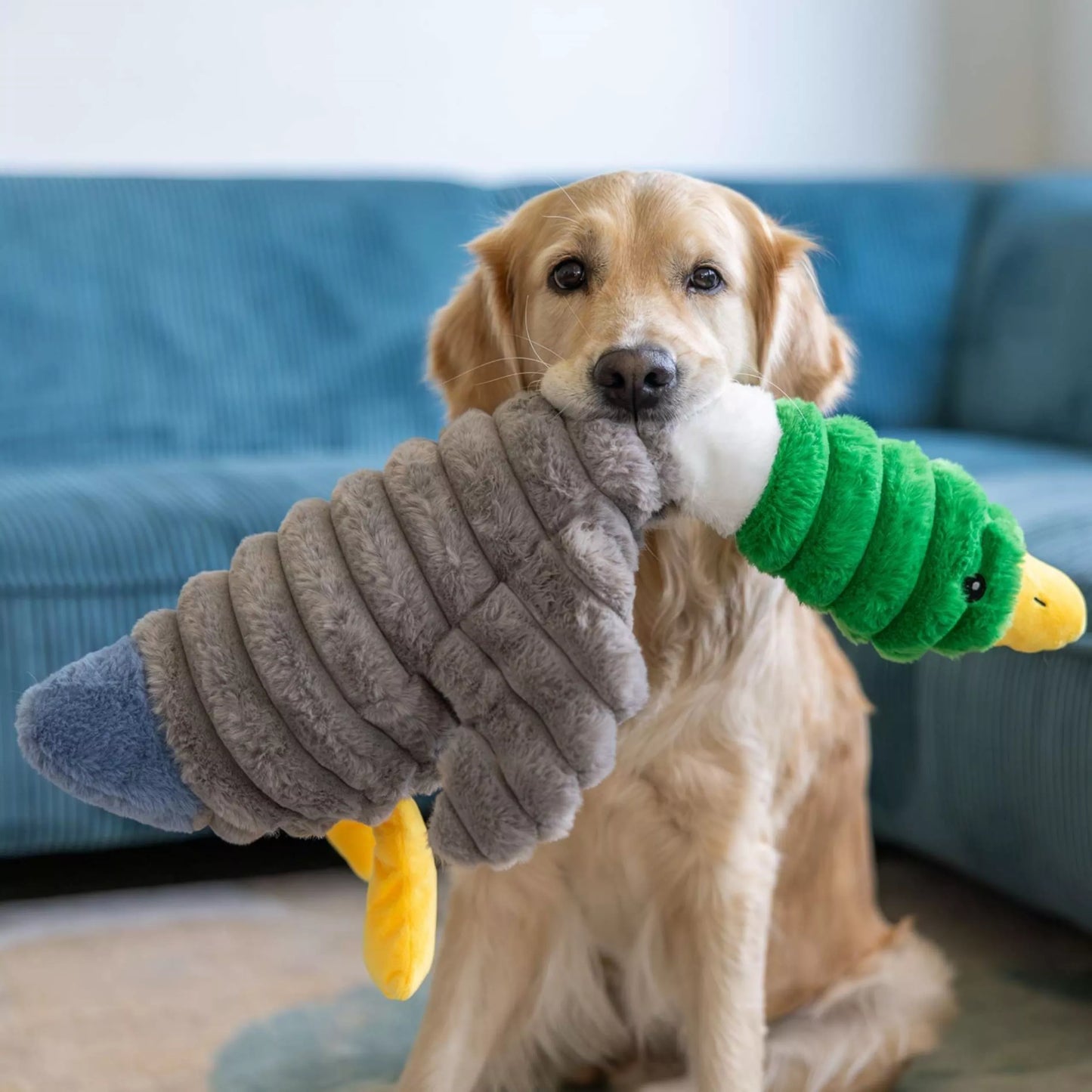 Hondenknuffel | Pluche Speelgoed | Eend / Alligator / Walvis / Gans / Giraf / Alpaca
