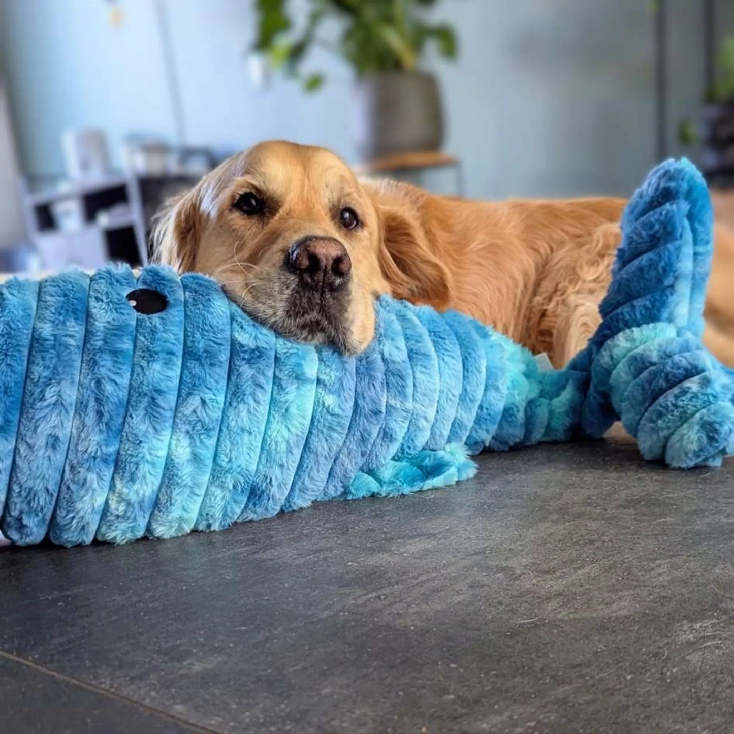 Hondenknuffel | Pluche Speelgoed | Eend / Alligator / Walvis / Gans / Giraf / Alpaca